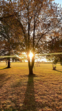 Autumn Calm Wallpaper Pack - Free Download