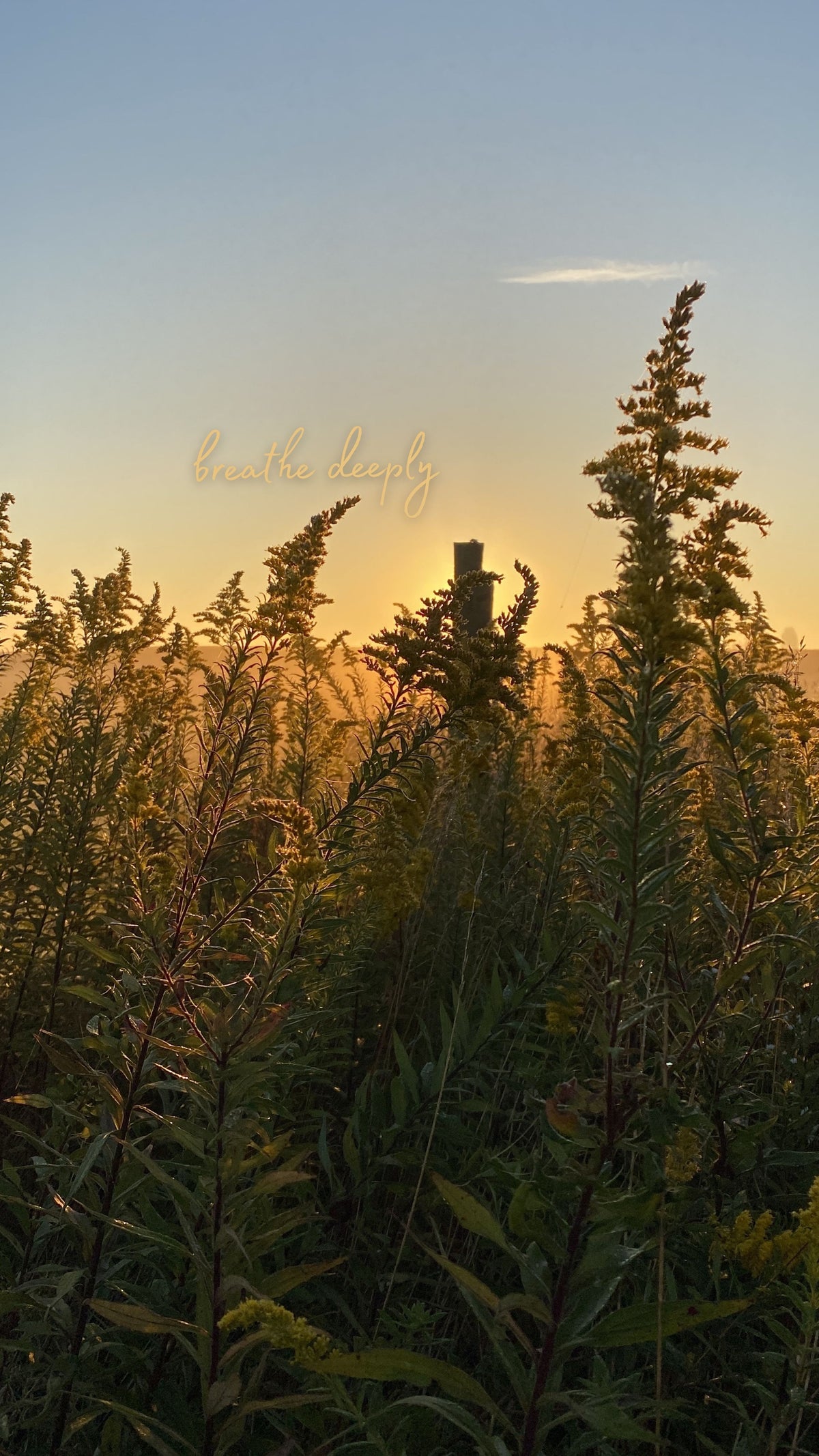 Autumn Calm Wallpaper Pack - Free Download